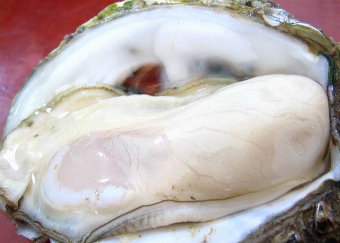 采小海 湛江生蚝干牡蛎干天然干货             生蚝营养