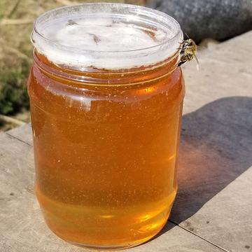 蜂蜜土蜂蜜蜂蜜小瓶装蜂蜜水野生蜂蜜蜂蜜纯天然纯蜂蜜野蜂蜜