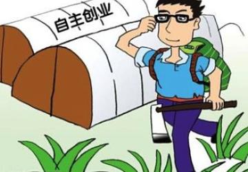 农村干点什么赚钱?7个点子带你走向致富之路