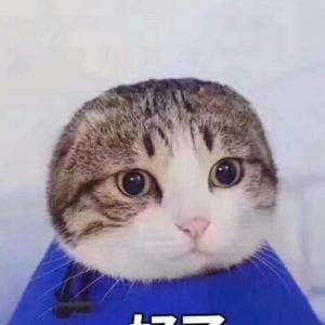 少年派 专访 人生如戏全靠演技赵今麦私下性格竟和林妙妙相差那么大 西瓜视频