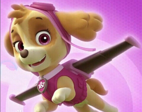 汪汪队唯一的雌性动物天天狗狗要飞上天喽!