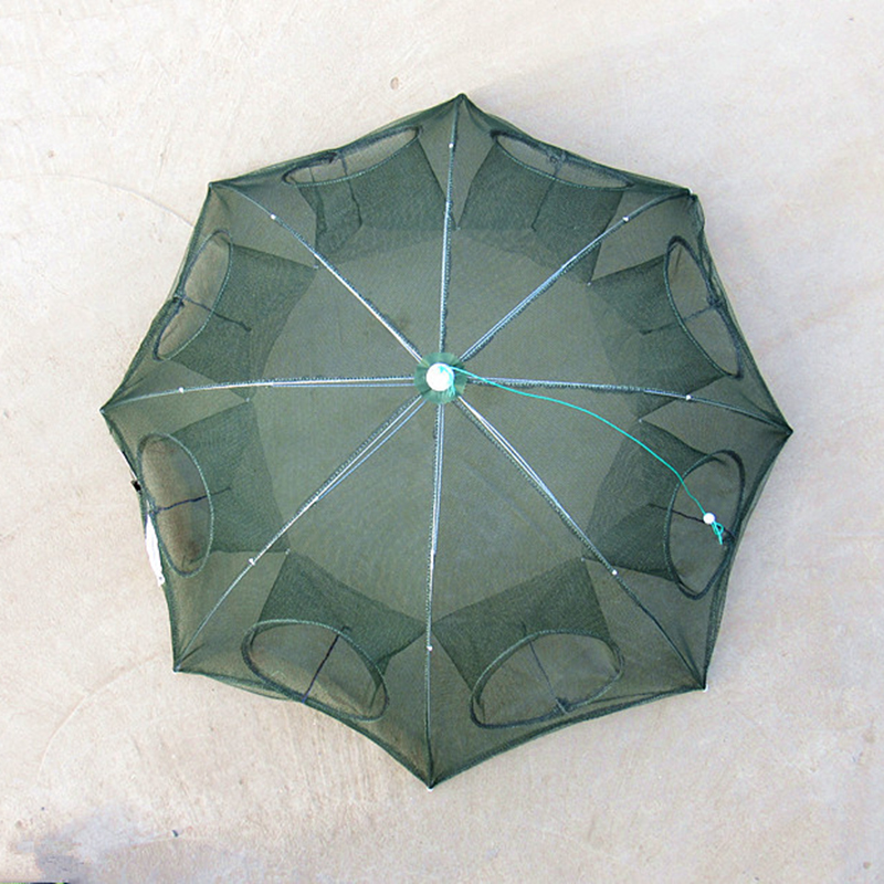 还在为钓鱼用什么饵料烦心?别想了!用这白片