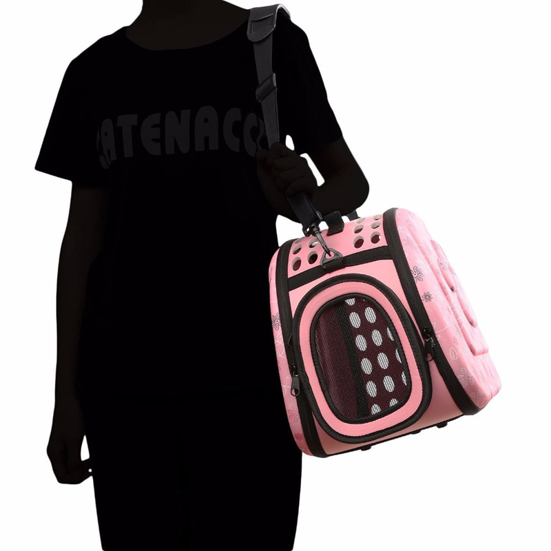 搞笑贴:关于猫咪的6个未解之谜,就第一个就很