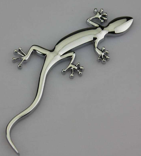 驾驶证到手,却不知车尾贴壁虎啥意思!教练:再